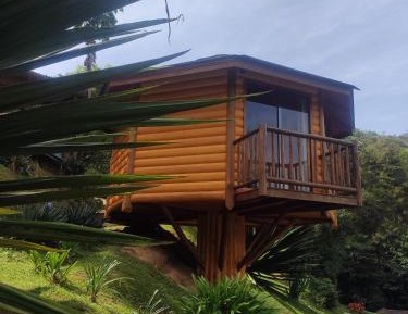 Deluxe Bungalow