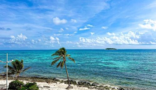 Superior Double Room with Sea View