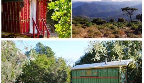 Double Room with Mountain View