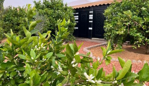 Cottage with Garden View