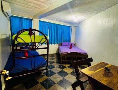 Single Bed in Mixed Dormitory Room