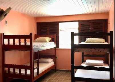 Bed in 4-Bed Mixed Dormitory Room