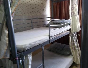 Bunk Bed in Mixed Dormitory Room