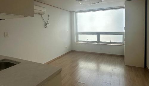 Apartment with Shower