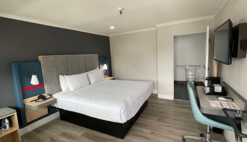 King Room - Non-Smoking