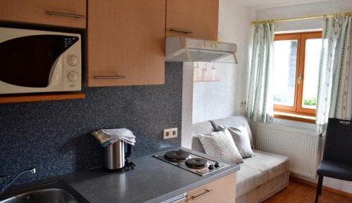 One-Bedroom Apartment with Balcony and Mountain View  