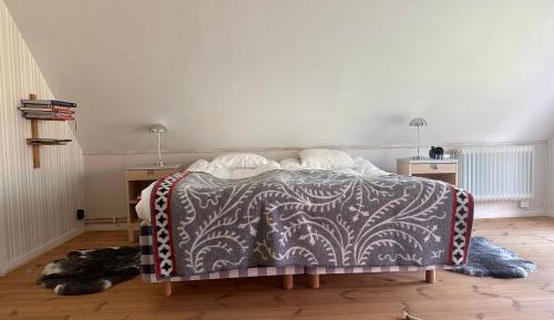Deluxe Double Room (2 Adults + 1 Child)