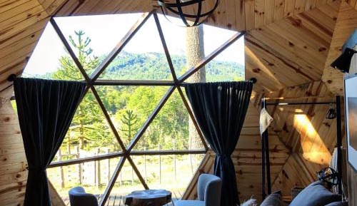 One-Bedroom Apartment with Garden View