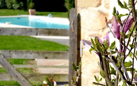 Double Room with Pool View