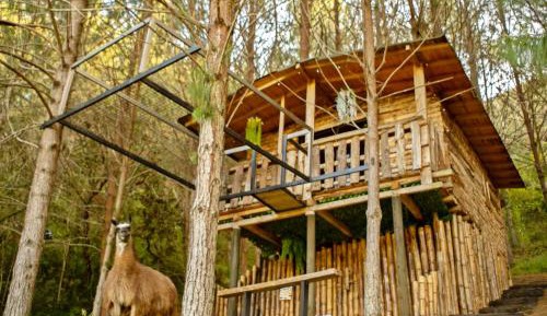 Superior Chalet