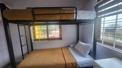 Bunk Bed in Mixed Dormitory Room