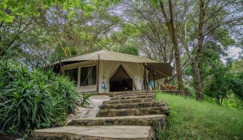 Tent