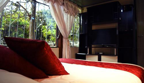 Single Room with Garden View