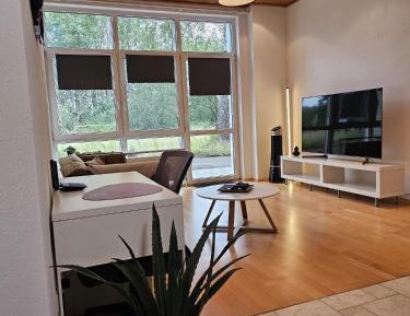 Deluxe One-Bedroom Apartment