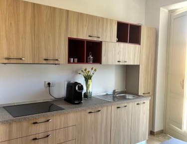 One-Bedroom Apartment with View