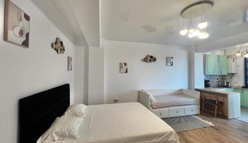 Family Studio