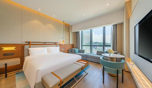 Premium King Room