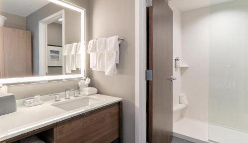 One-Bedroom King Suite