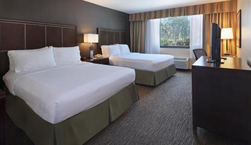 Queen Suite
