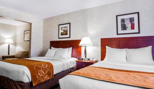 Queen Room with Two Queen Beds - Non-Smoking