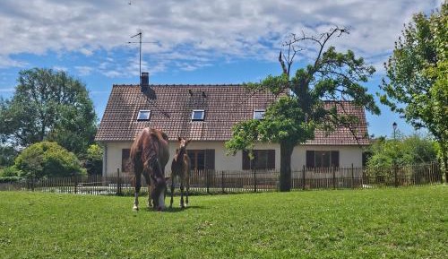 Four-Bedroom Holiday Home