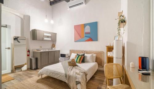 Duplex Apartment
