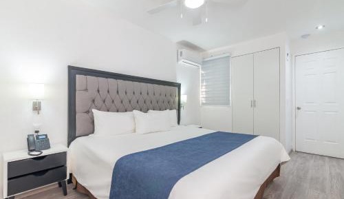 Deluxe King Suite