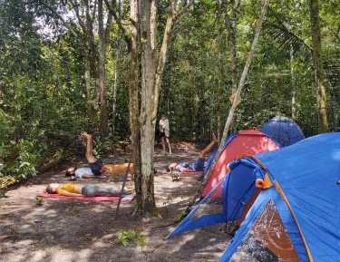 Tent