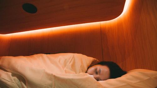 Bunk Bed in Mixed Dormitory Room