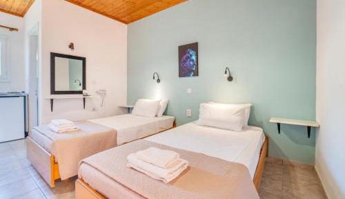 Twin or Double Room