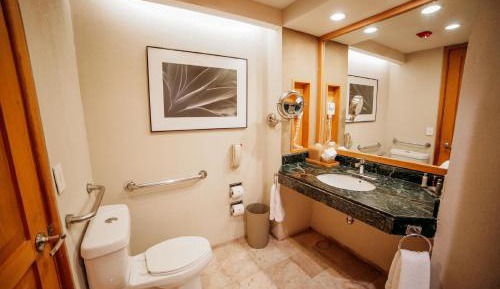 Deluxe, Guest room, 1 King Bed          