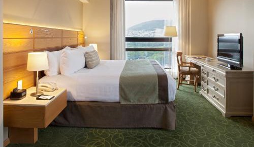 Guest room, 1 King, City view, High floor