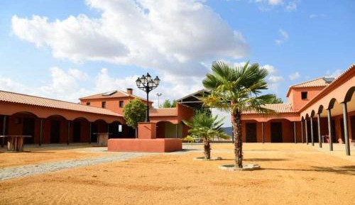 One-Bedroom Villa