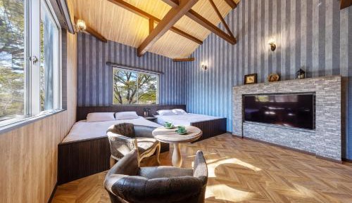 Deluxe Double or Twin Room