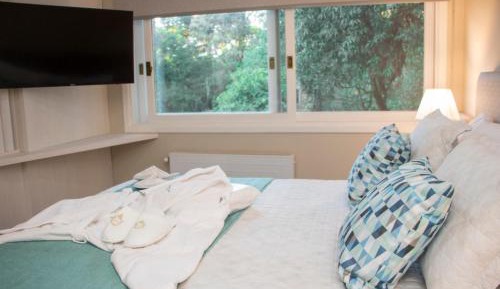 Deluxe King Suite