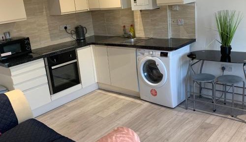 Family Two-Bedroom Apartment with View