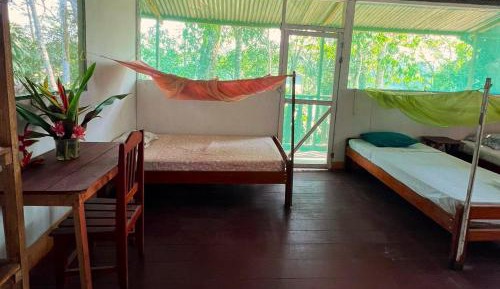 Bed in 4-Bed Dormitory Room