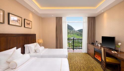Deluxe Double or Twin Room with Mountain View