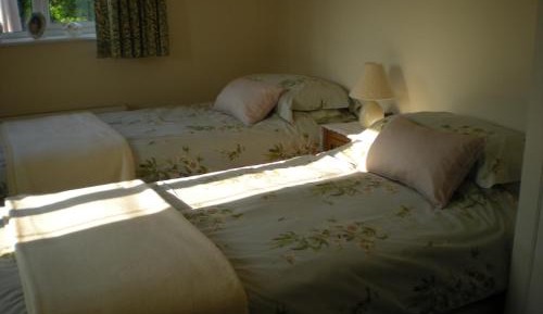 Deluxe Double or Twin Room with Garden View