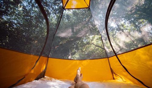 Tent
