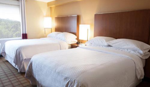 Guest room, 2 Queen