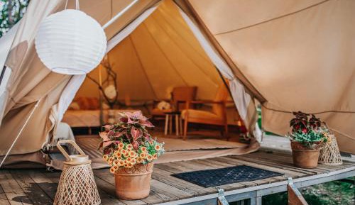 Tent