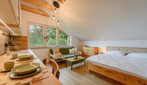Superior Apartment