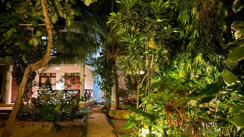 Double Room with Terrace