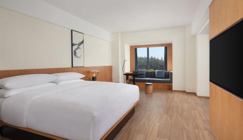 Business King Room