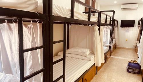 Bed in 8-Bed Mixed Dormitory Room