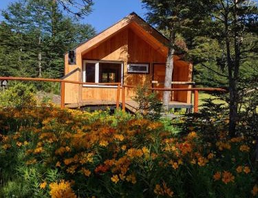 One-Bedroom Chalet
