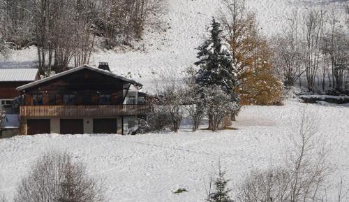 Two-Bedroom Chalet