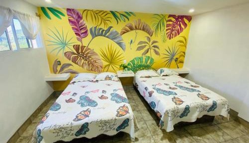 Double Room with Two Double Beds