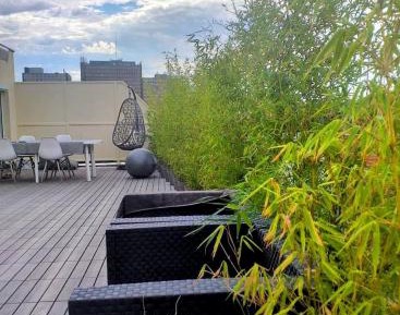 Apartment with Terrace